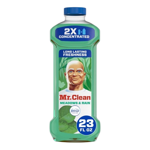 MR CLEAN ALL PURPOSE 45OZ