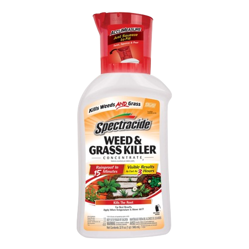 SPECTRACIDE KILLER CONCENTRATE 32OZ