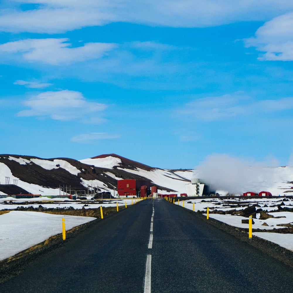 Arriving Winter Visitors