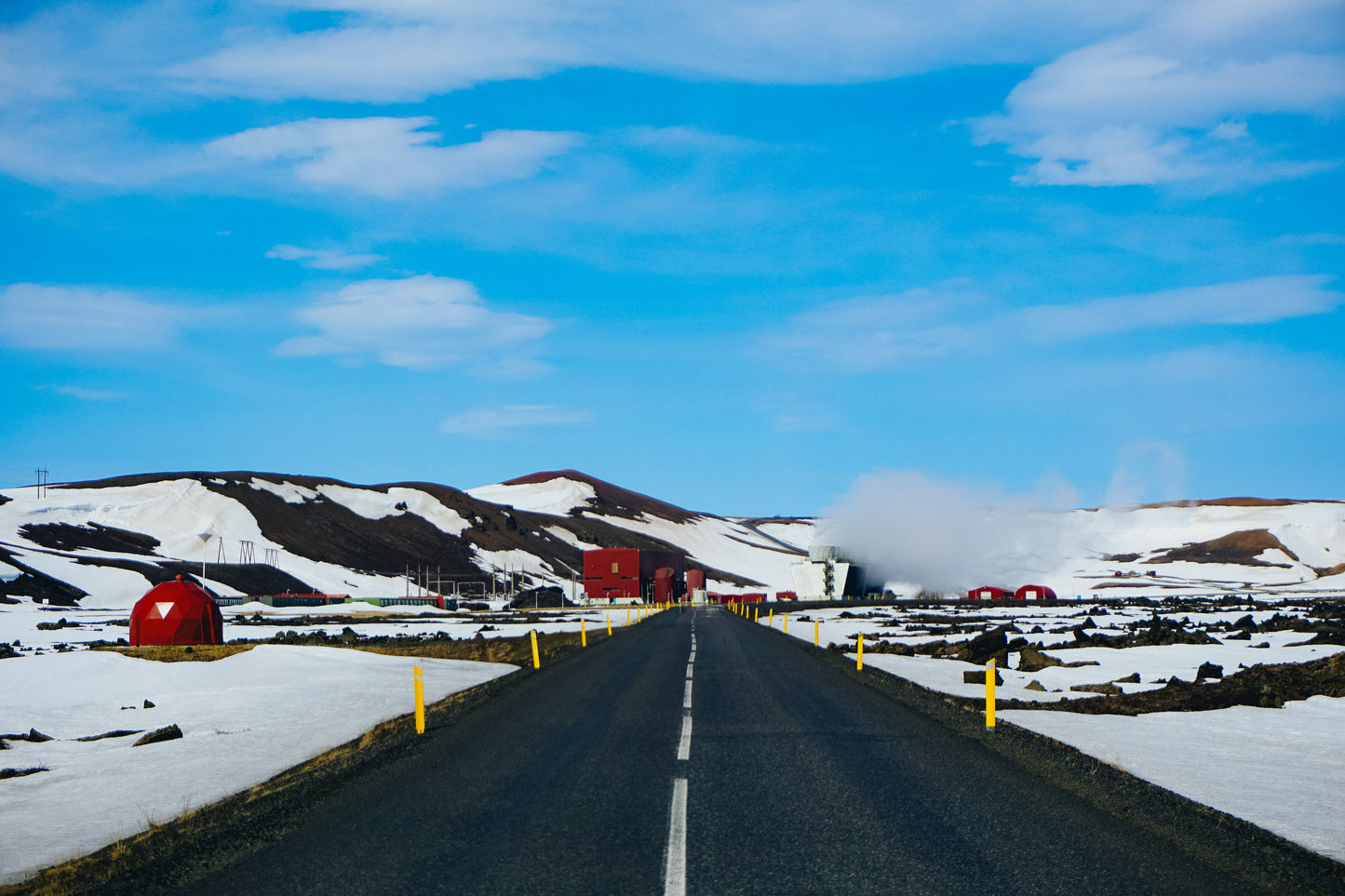 Arriving Winter Visitors